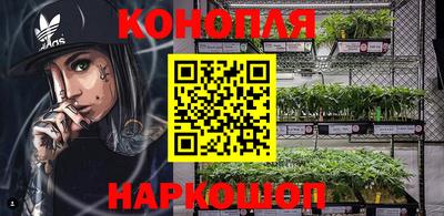 apvp Шелехов