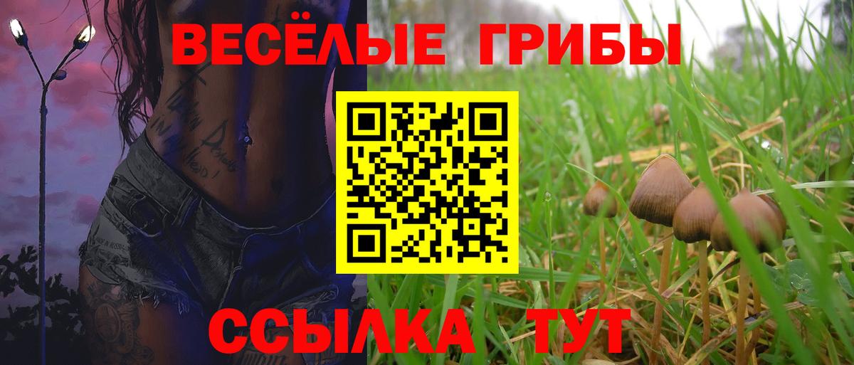 Борзя  Галлюциногенные грибы Magic Shrooms  где продают   Вход с VPN 
